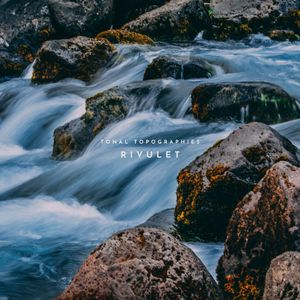 宰杀女畜屠宰场穿刺杆视频全过程
