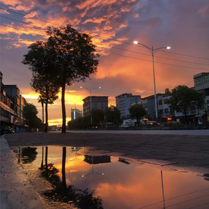 宰杀女畜屠宰场穿刺杆视频全过程
