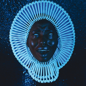 宰杀女畜屠宰场穿刺杆视频全过程
