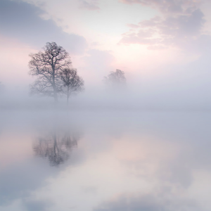 宰杀女畜屠宰场穿刺杆视频全过程
