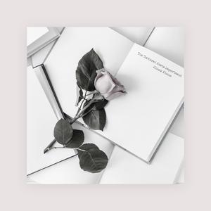 宰杀女畜屠宰场穿刺杆视频全过程
